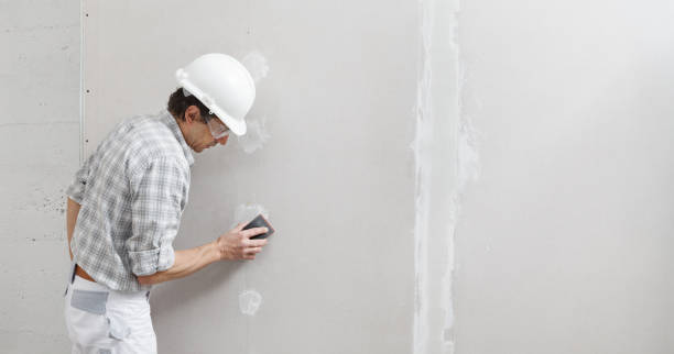 Best Mold Prevention Services  in USA