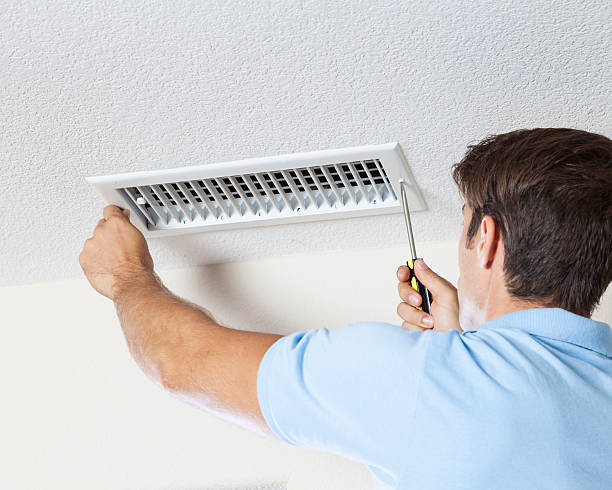 Best Mold Odor Removal Services  in USA